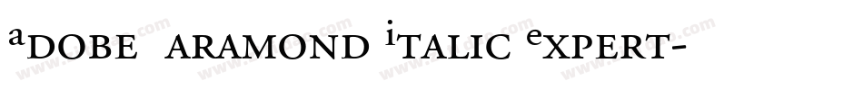 Adobe Garamond Italic Expert字体转换